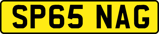 SP65NAG
