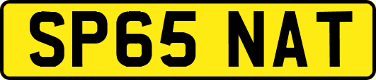 SP65NAT