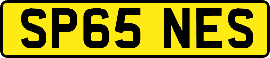 SP65NES
