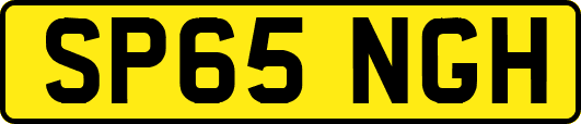 SP65NGH