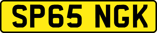 SP65NGK