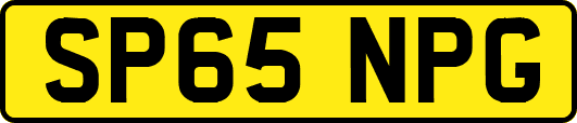 SP65NPG