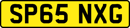 SP65NXG