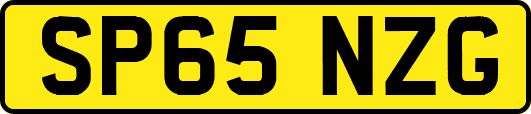SP65NZG