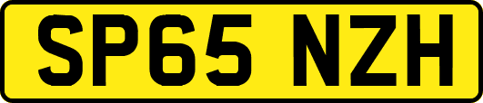 SP65NZH