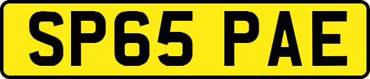 SP65PAE