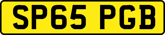 SP65PGB