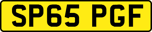 SP65PGF