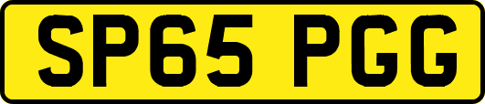 SP65PGG