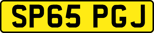 SP65PGJ