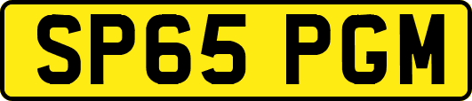 SP65PGM