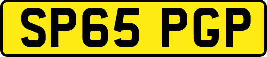 SP65PGP