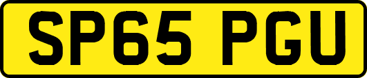 SP65PGU