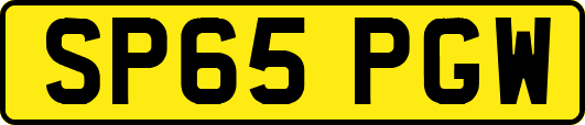 SP65PGW