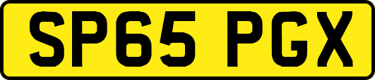 SP65PGX