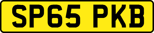 SP65PKB