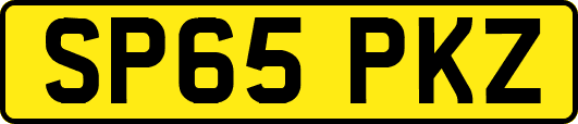 SP65PKZ