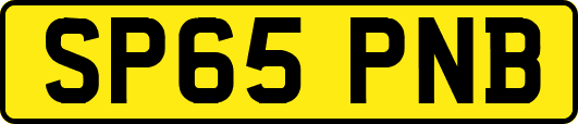 SP65PNB