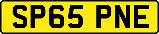 SP65PNE