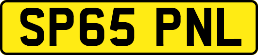 SP65PNL