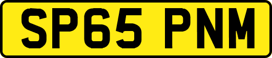 SP65PNM