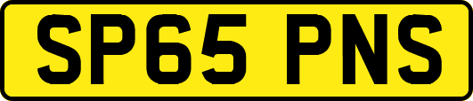 SP65PNS