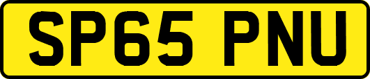 SP65PNU