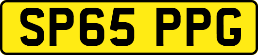 SP65PPG