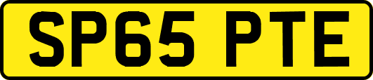 SP65PTE
