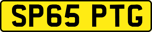 SP65PTG