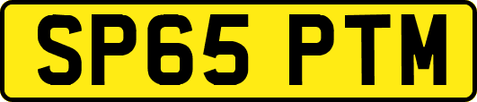 SP65PTM