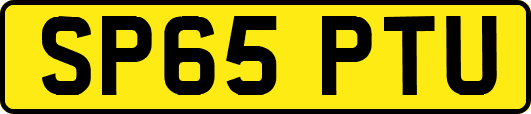 SP65PTU