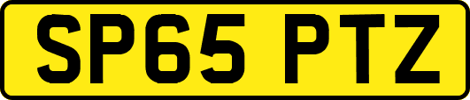 SP65PTZ