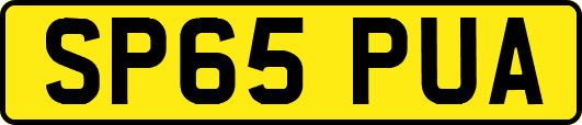 SP65PUA
