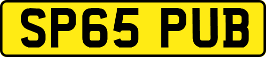 SP65PUB