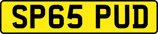 SP65PUD