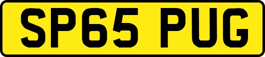 SP65PUG