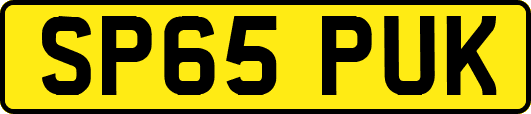 SP65PUK
