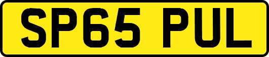 SP65PUL