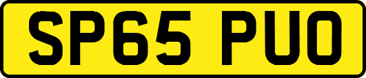 SP65PUO