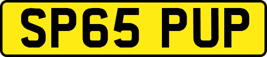 SP65PUP