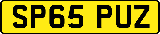SP65PUZ