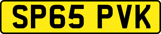 SP65PVK