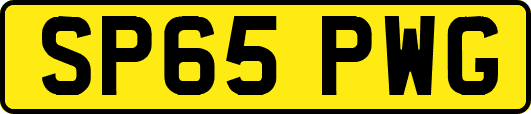 SP65PWG