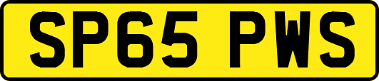 SP65PWS