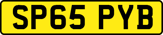 SP65PYB