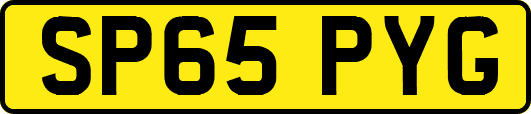 SP65PYG