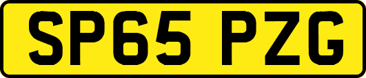 SP65PZG