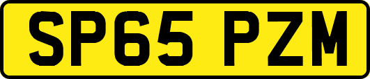 SP65PZM