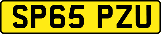 SP65PZU